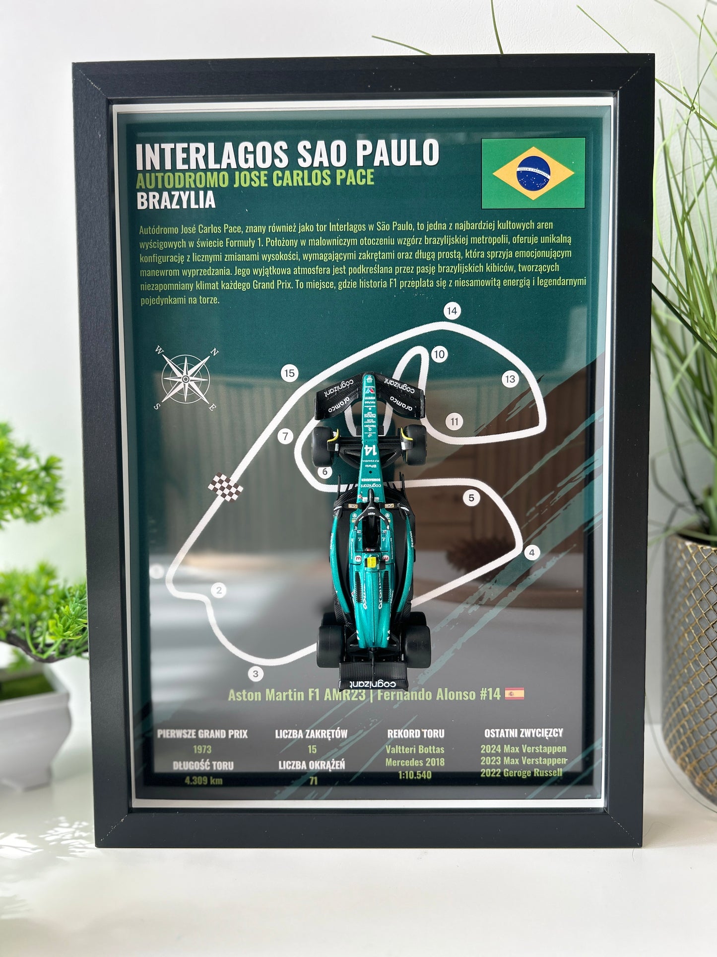 F1 Aston Martin | Grand Prix Brazylii