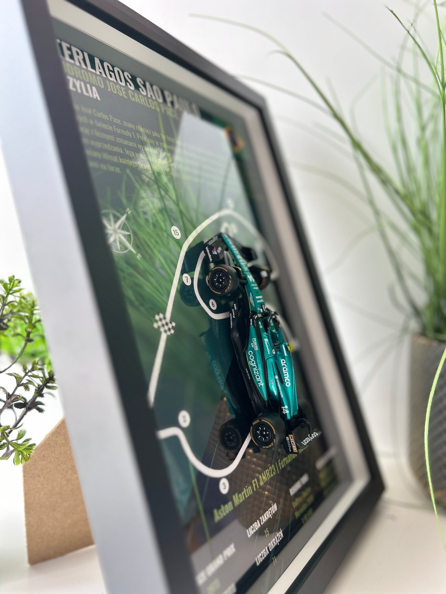 F1 Aston Martin | Grand Prix Brazylii