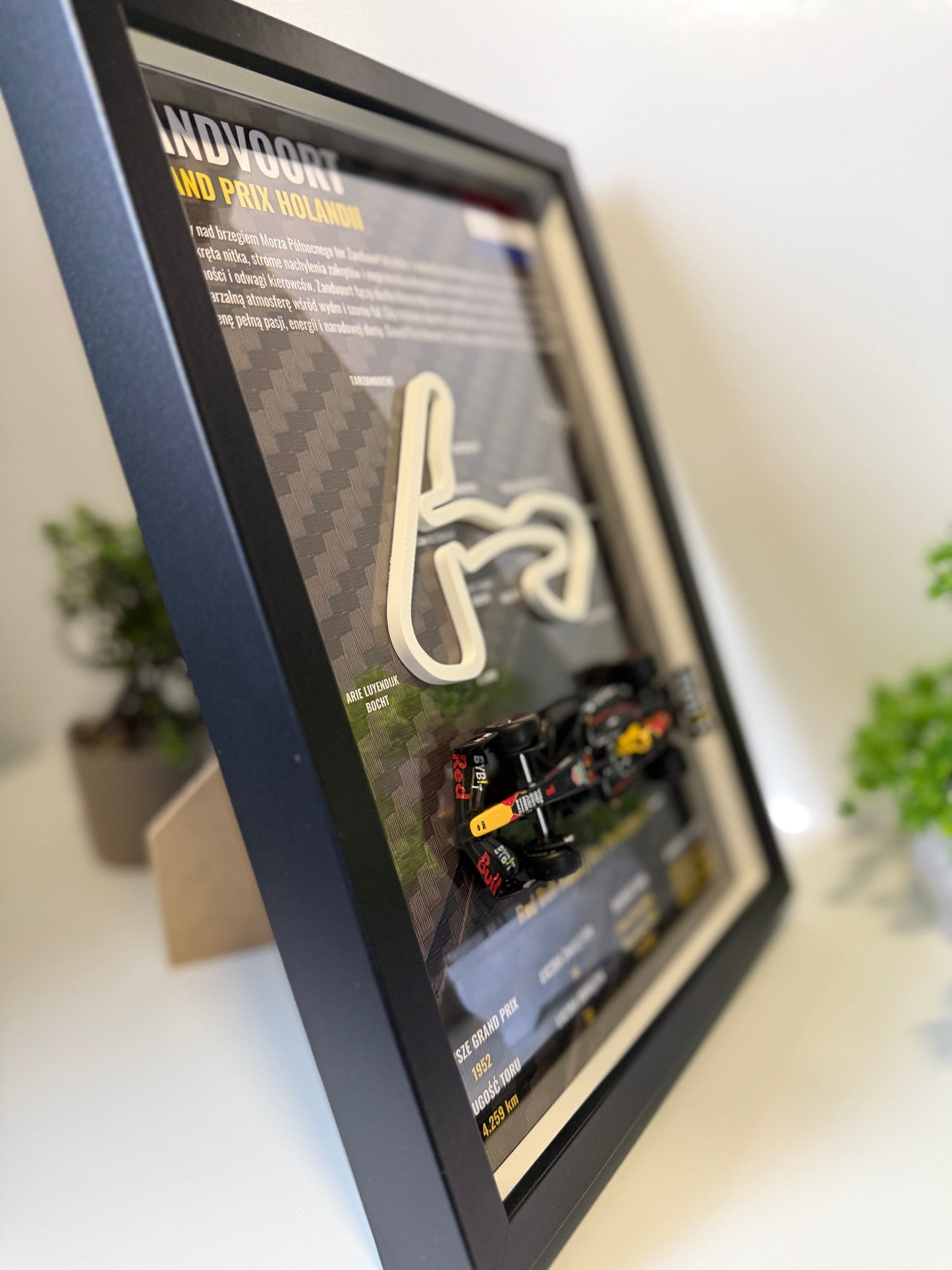 F1 Home Race | Zandvoort 3D