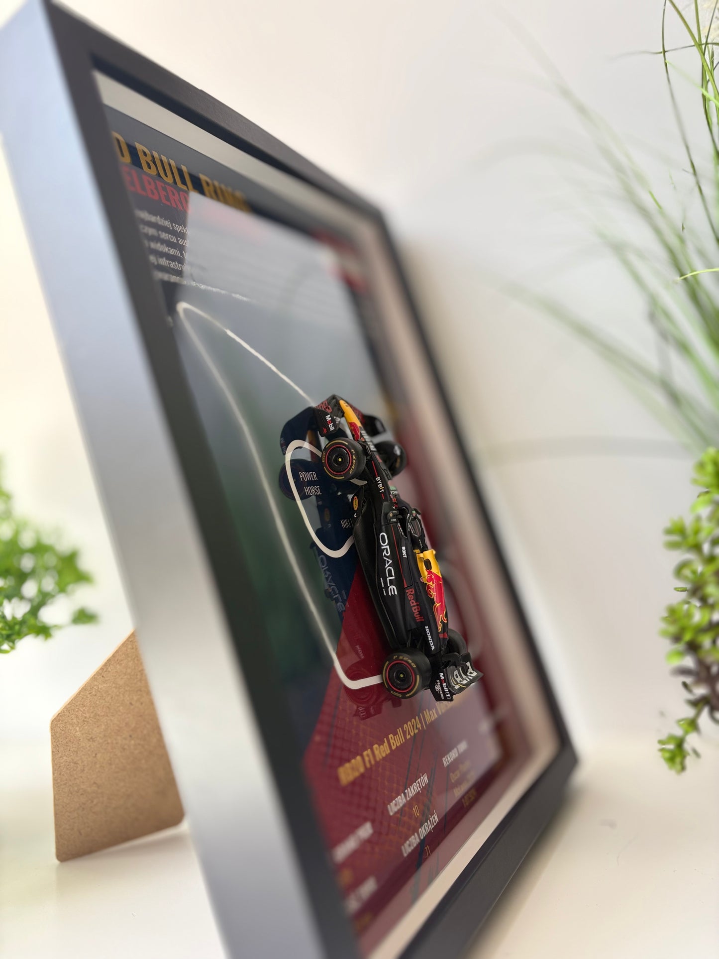 F1 Red Bull | Grand Prix Austrii