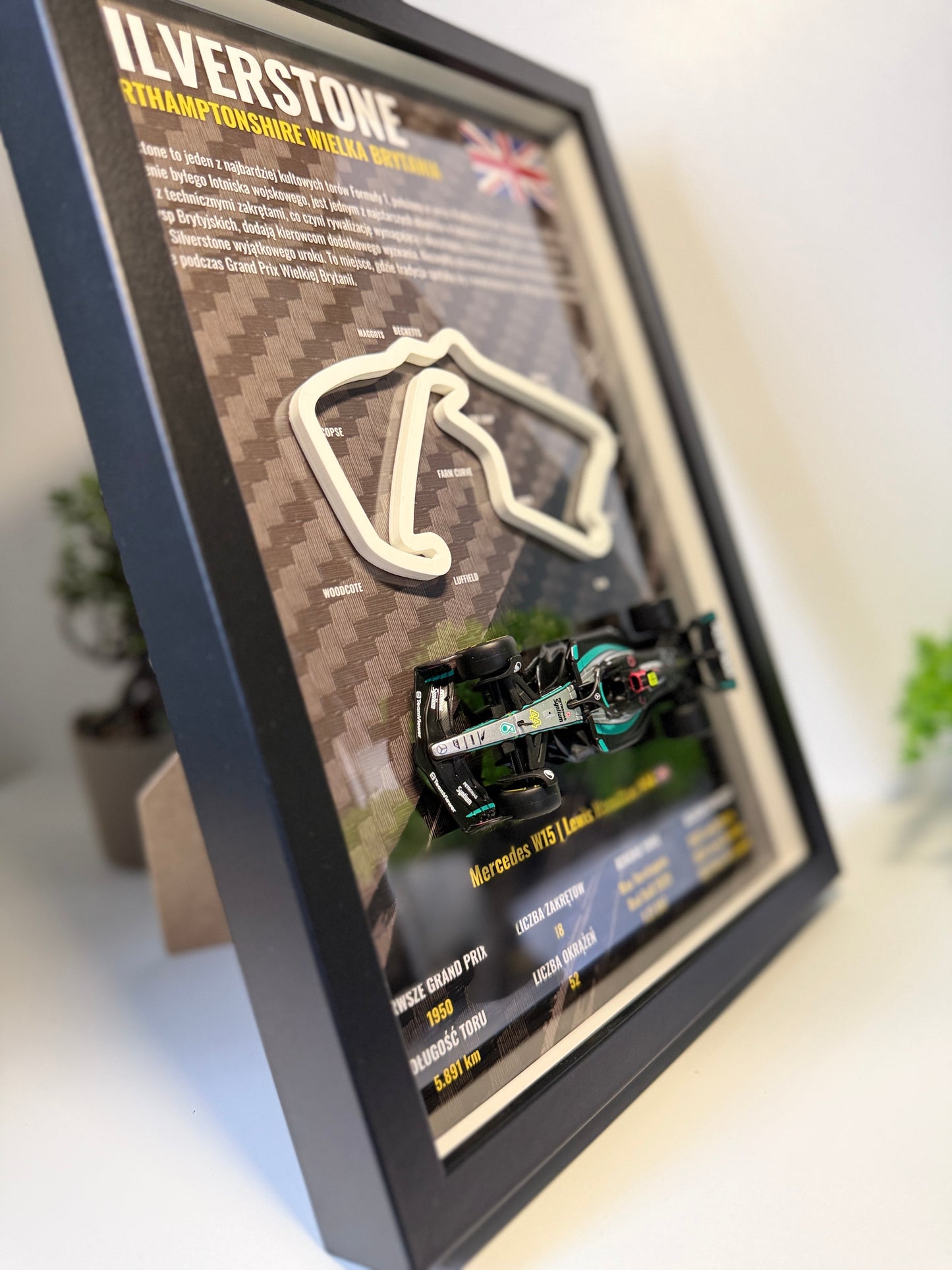 F1 Home Race | Silvertsone 3D