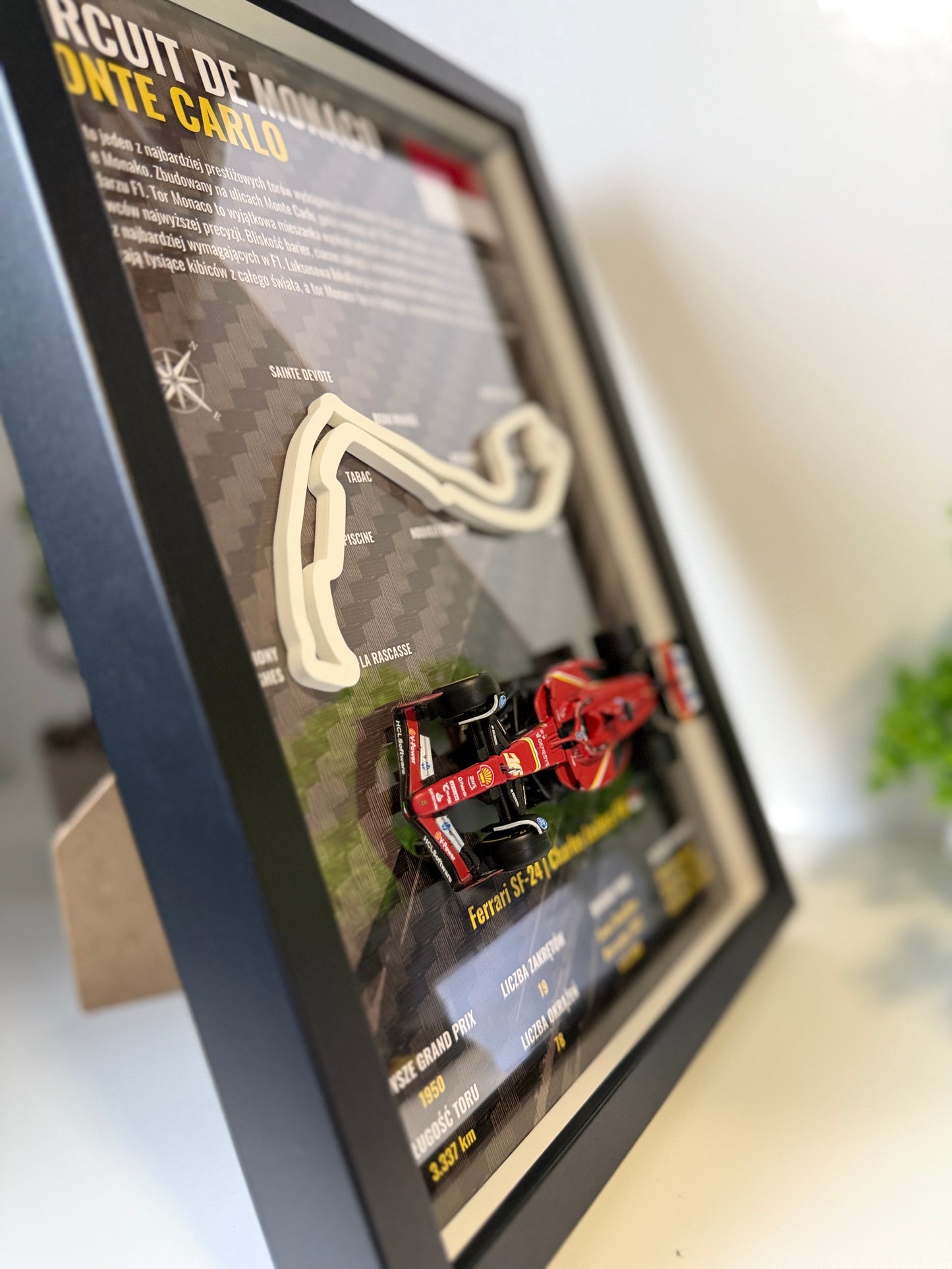 F1 Home Race | Monaco 3D